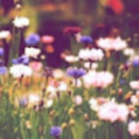 jocelynwong216